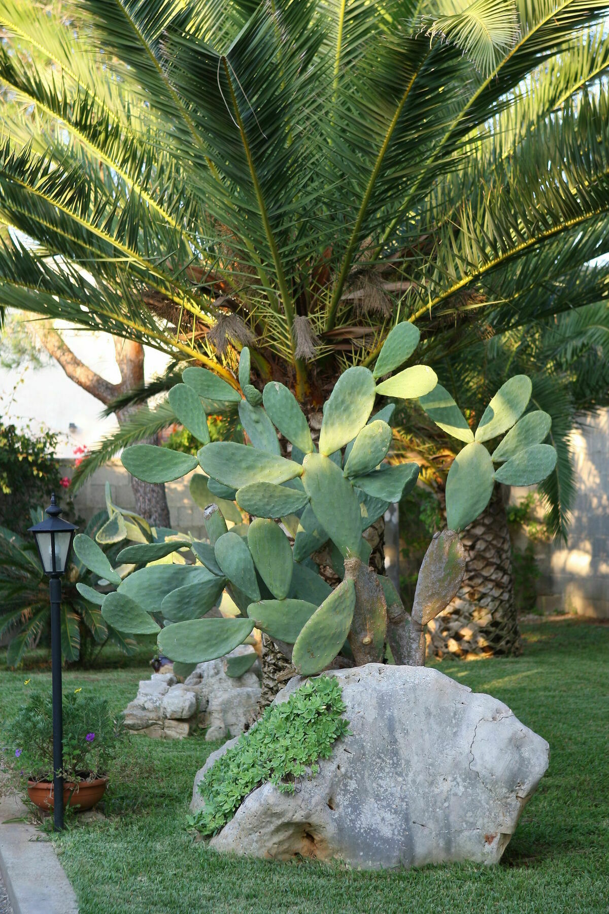 Lecce Guesthouse Kültér fotó